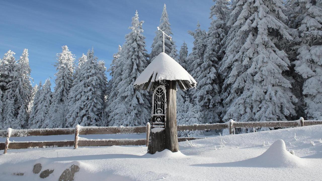 Inns Holz Ulrichsberg Esterno foto