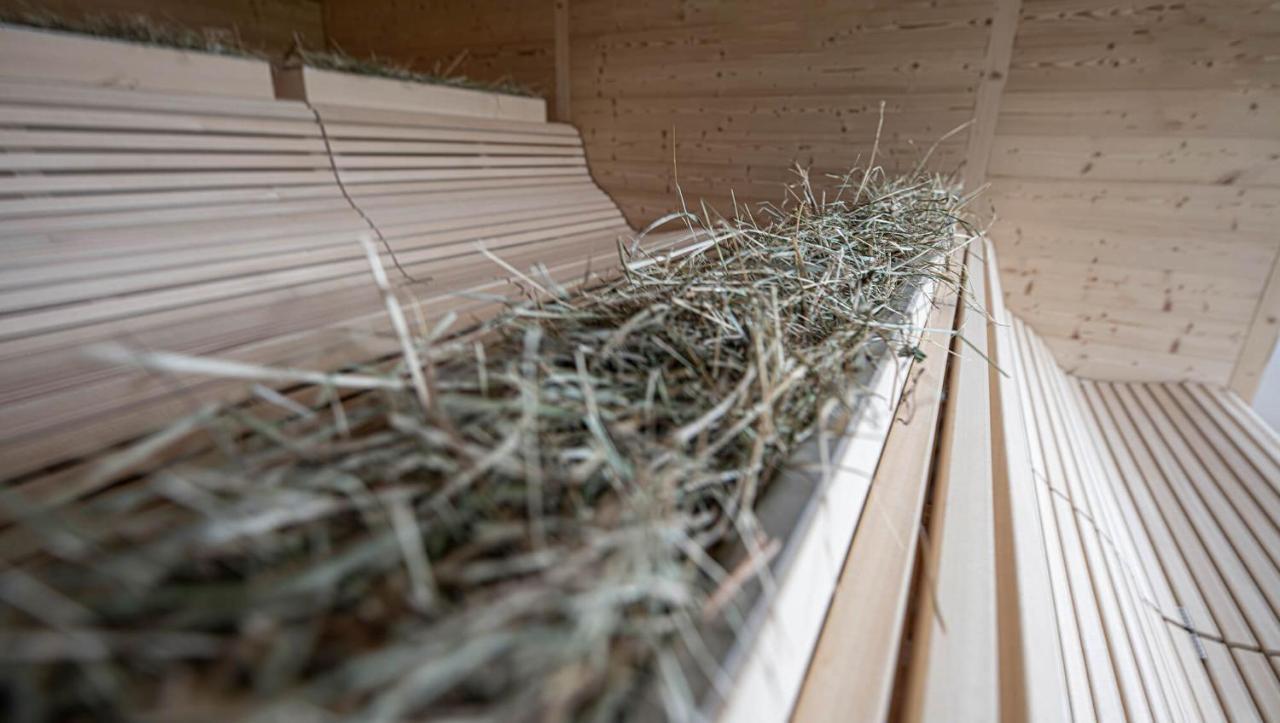 Inns Holz Ulrichsberg Esterno foto